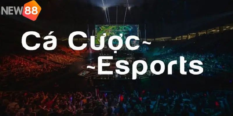 Cập nhật các giải đấu Esports